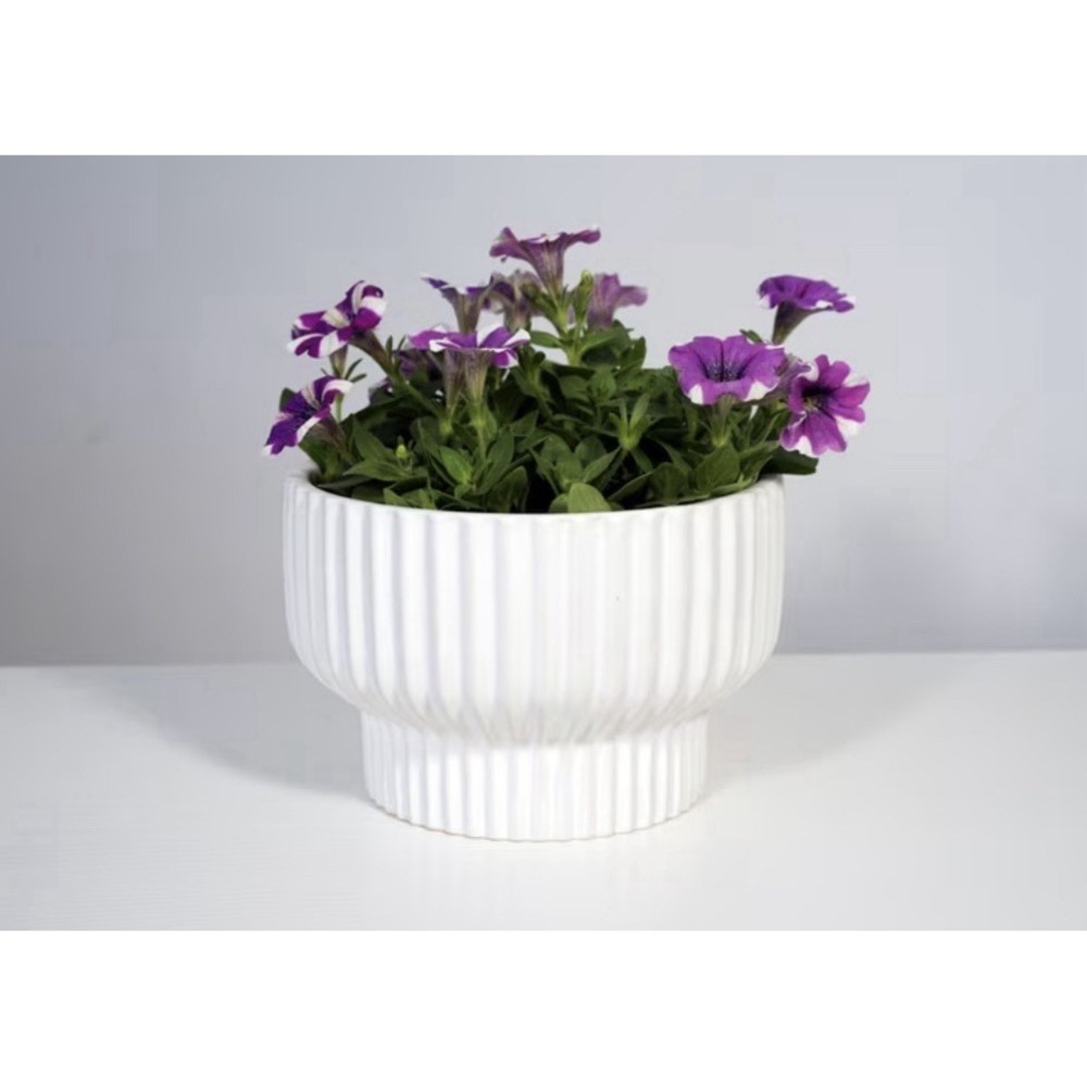 Better Homes & Gardens Fischer 8 in White Ceramic Planter